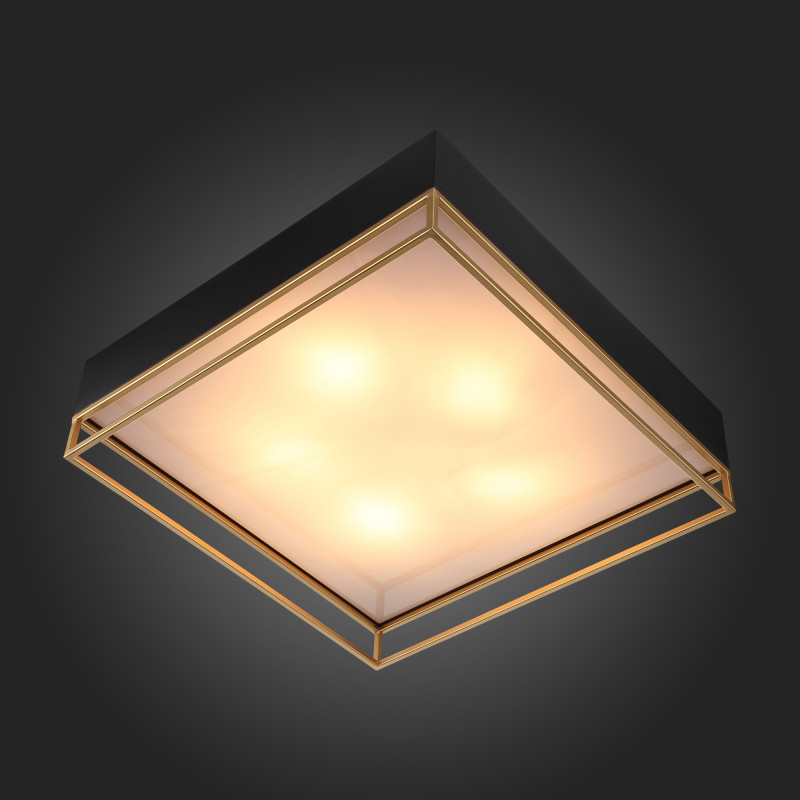 Накладная люстра ST-Luce SL1127.422.05