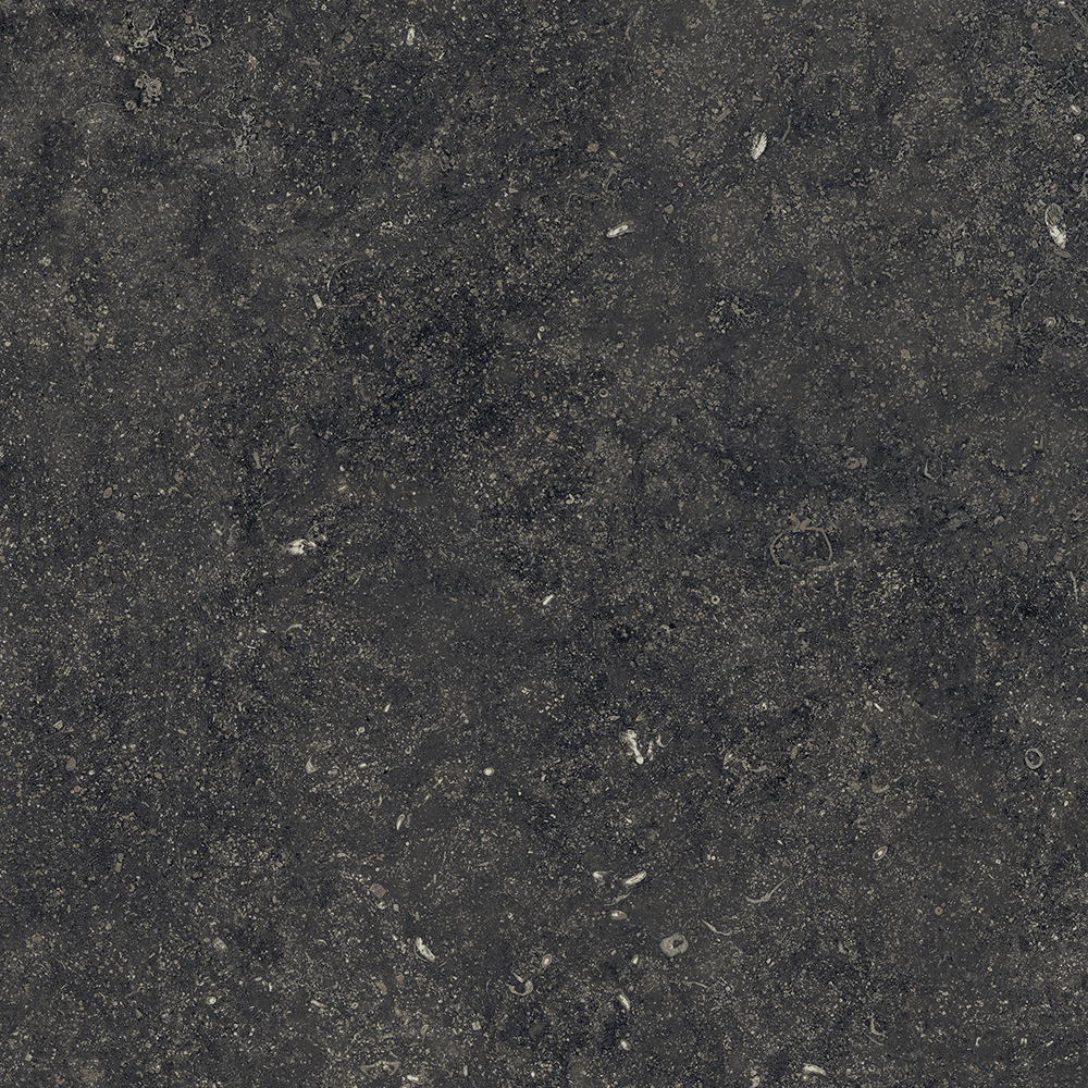 R.S.BLACK 60 CER