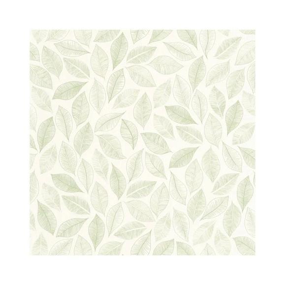 Обои Caselio 105380755 Bliss Blanc vert mousse