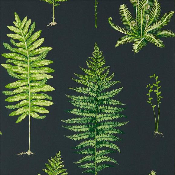 Обои Sanderson 216634 Fernery Botanical Green/Charcoal