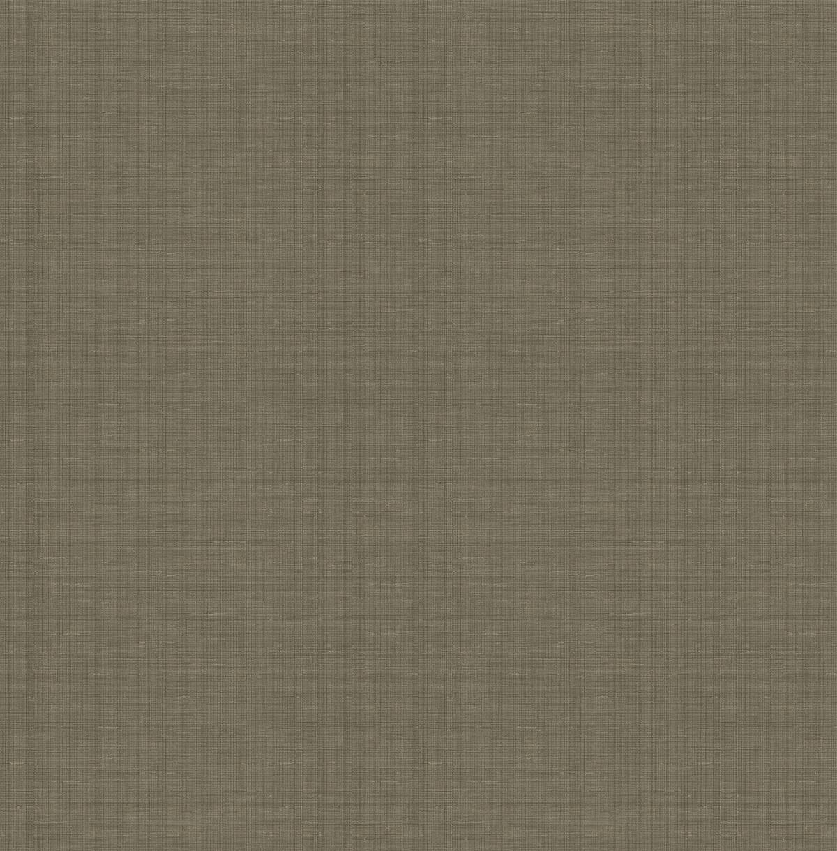 BW45606