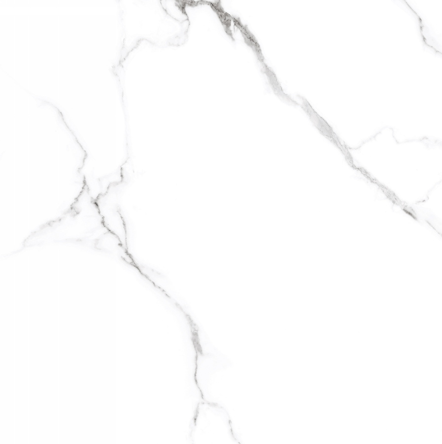 Mckinley Polished CV20208
