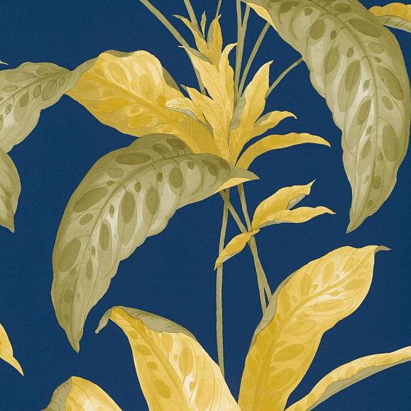 Обои Paint & Paper Library 0360TRPLIMS Tropicane Plimsoll