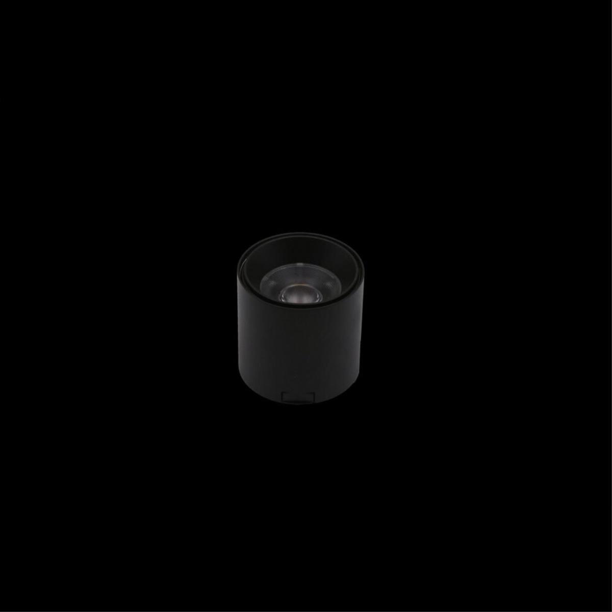 Трековый магнитный светильник Aployt Magnetic track 48 APL.0109.00.06