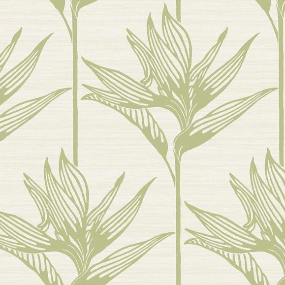 Обои York TC2675 Bird Of Paradise Green