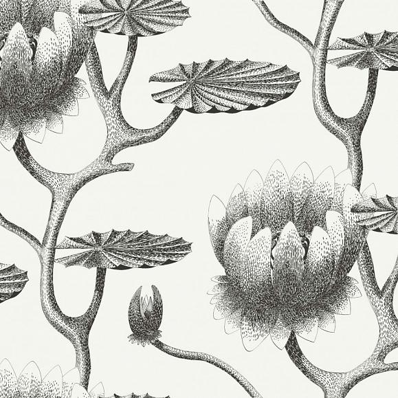 Обои Cole & Son 95/4020 Lily