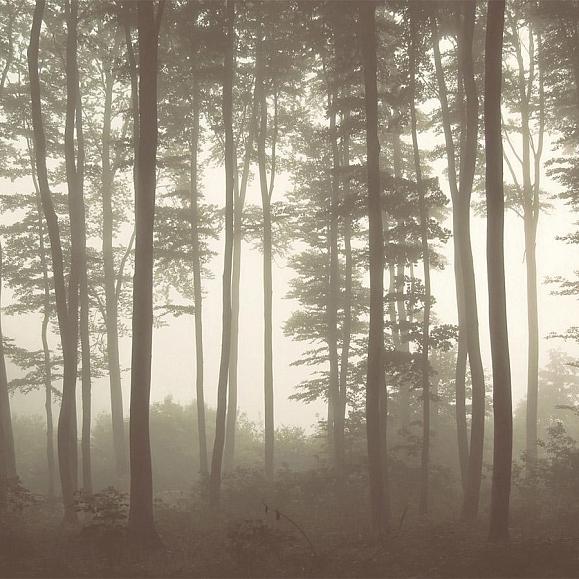 Панно Hygge Wall H10012 Mystic Fog