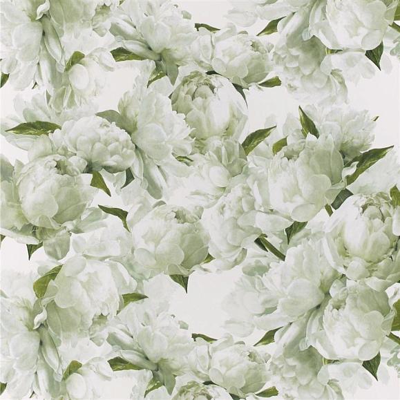 Обои Designers guild PDG1094/03 Peonia Chartreuse