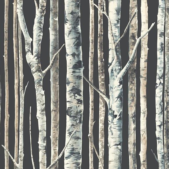 Обои Mayflower FJ000114 Birch