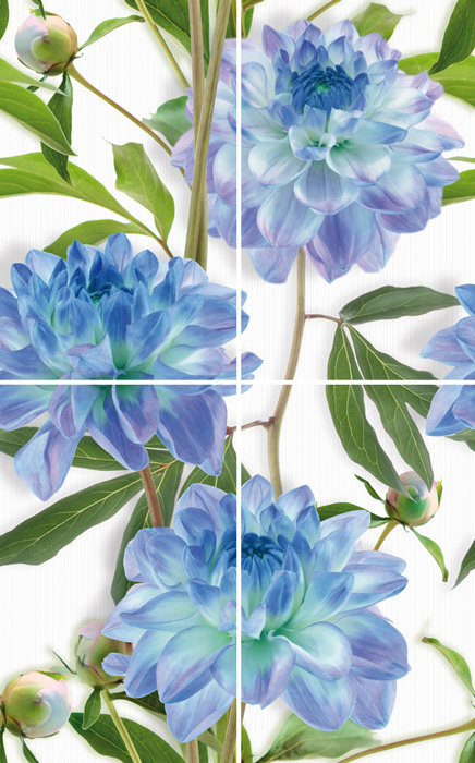 Komplet-4 Bellini Azul