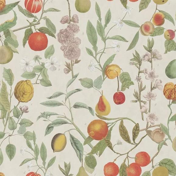 Обои John Derian PJD6018/01 Orchard Fruits Parchment