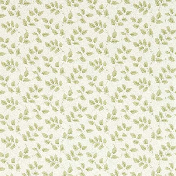 Обои Sanderson DSAB217422 Leaf Green Tomato Leaf