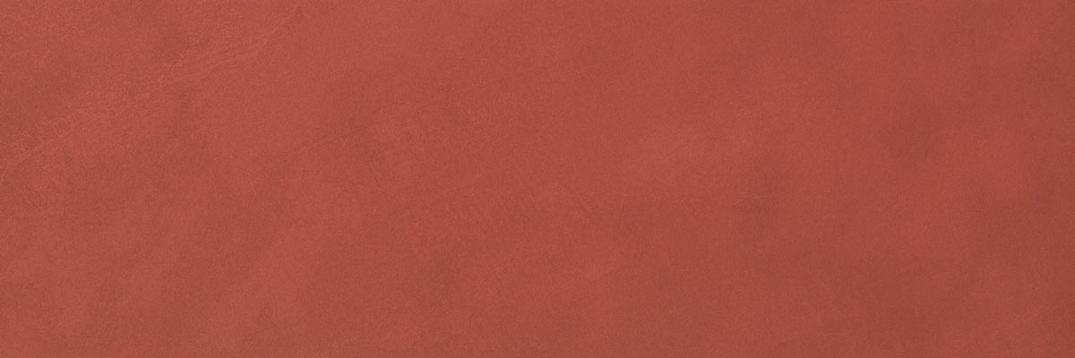 Color Line Marsala 25х75 Matt