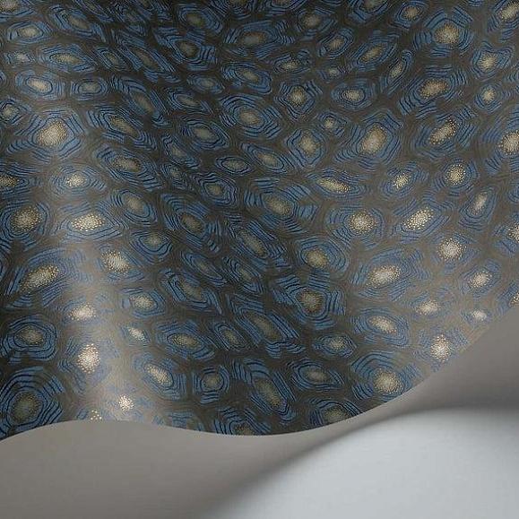 Обои Cole & Son 119/4024 Savanna Shell