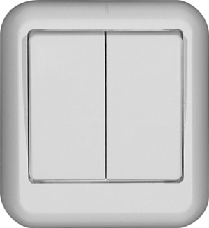 Выключатель 2-клавишный Schneider Electric Прима A56-029I-BI