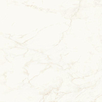 ATLAS CONCORDE MARVEL SHINE Calacatta Delicato Polished