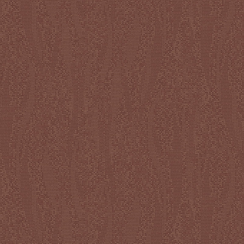 Z54527