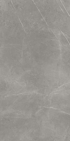 ATLAS CONCORDE RUSSIA FORTE DEI MARMI / ФОРТЕ ДЕЙ МАРМИ Elegant Grey Сатинированная