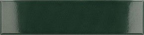 EQUIPE COSTA NOVA Laurel Green Glossy