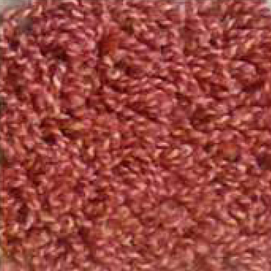 Ковровое покрытие Cottel 120