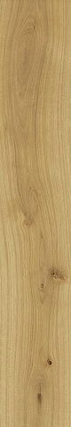 ATLAS CONCORDE EXENCE Almond
