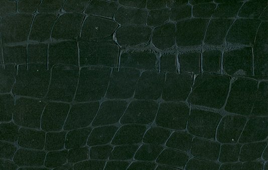 ebene-komodo-rouleau-croco-grandes-ecailles