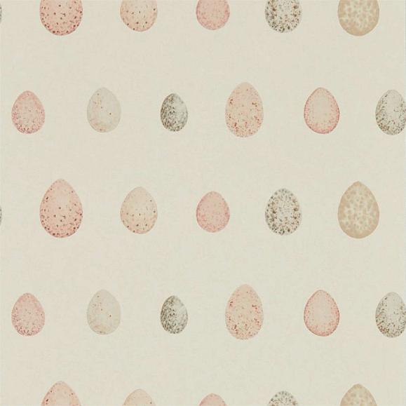 Обои Sanderson 216506 Nest Egg Blush Pink
