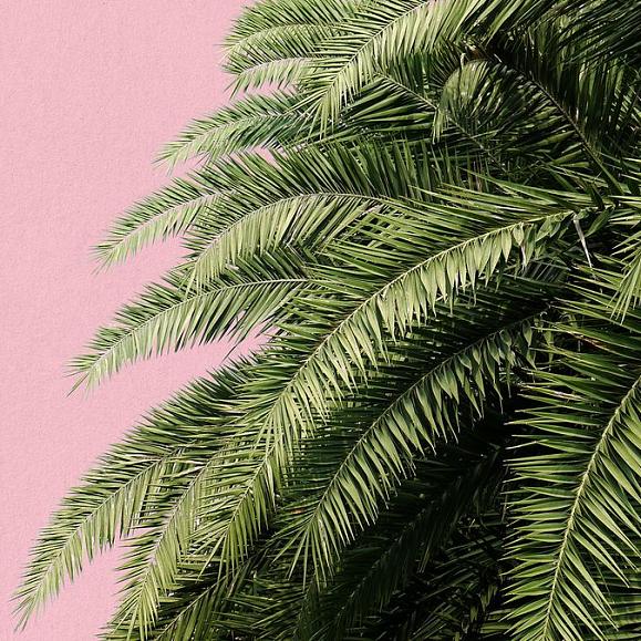 Панно Hygge Wall H11002 Palm Pink