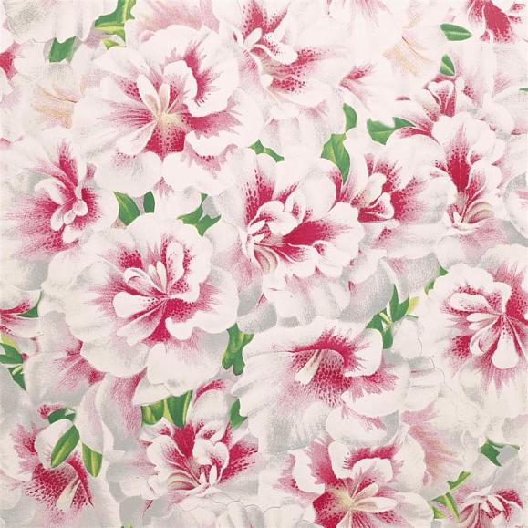 Обои John Derian PJD6004/01 Variegated Azalea Azalea