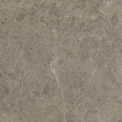 ATLAS CONCORDE MARVEL MERAVIGLIA Grigio Elegante Lappato 9 mm