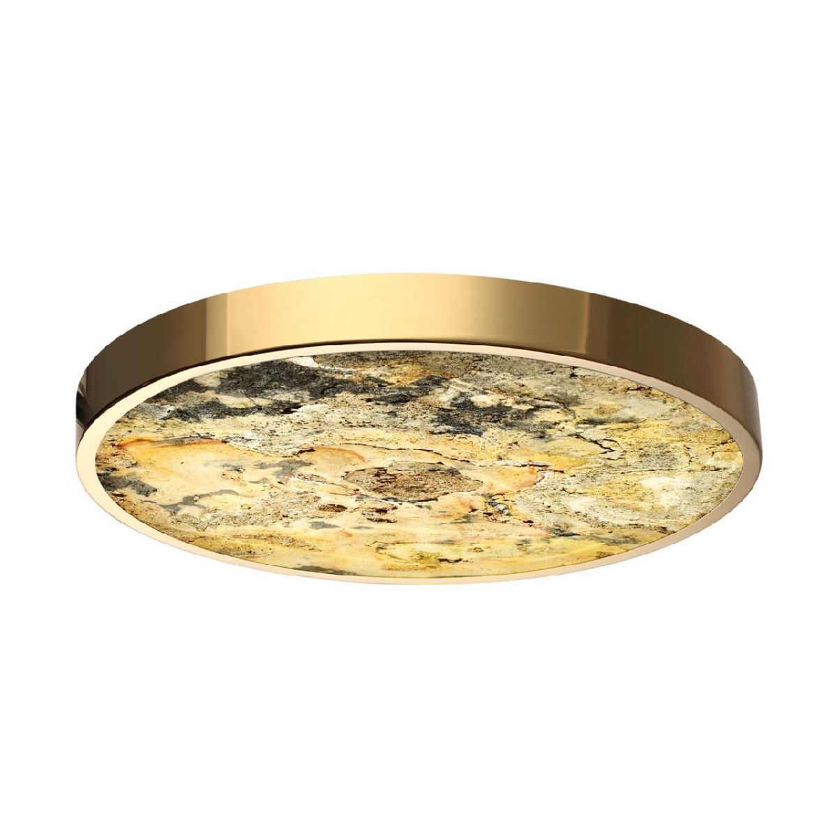 Настенно-потолочный светильник Odeon Light Bergi 5079/40L