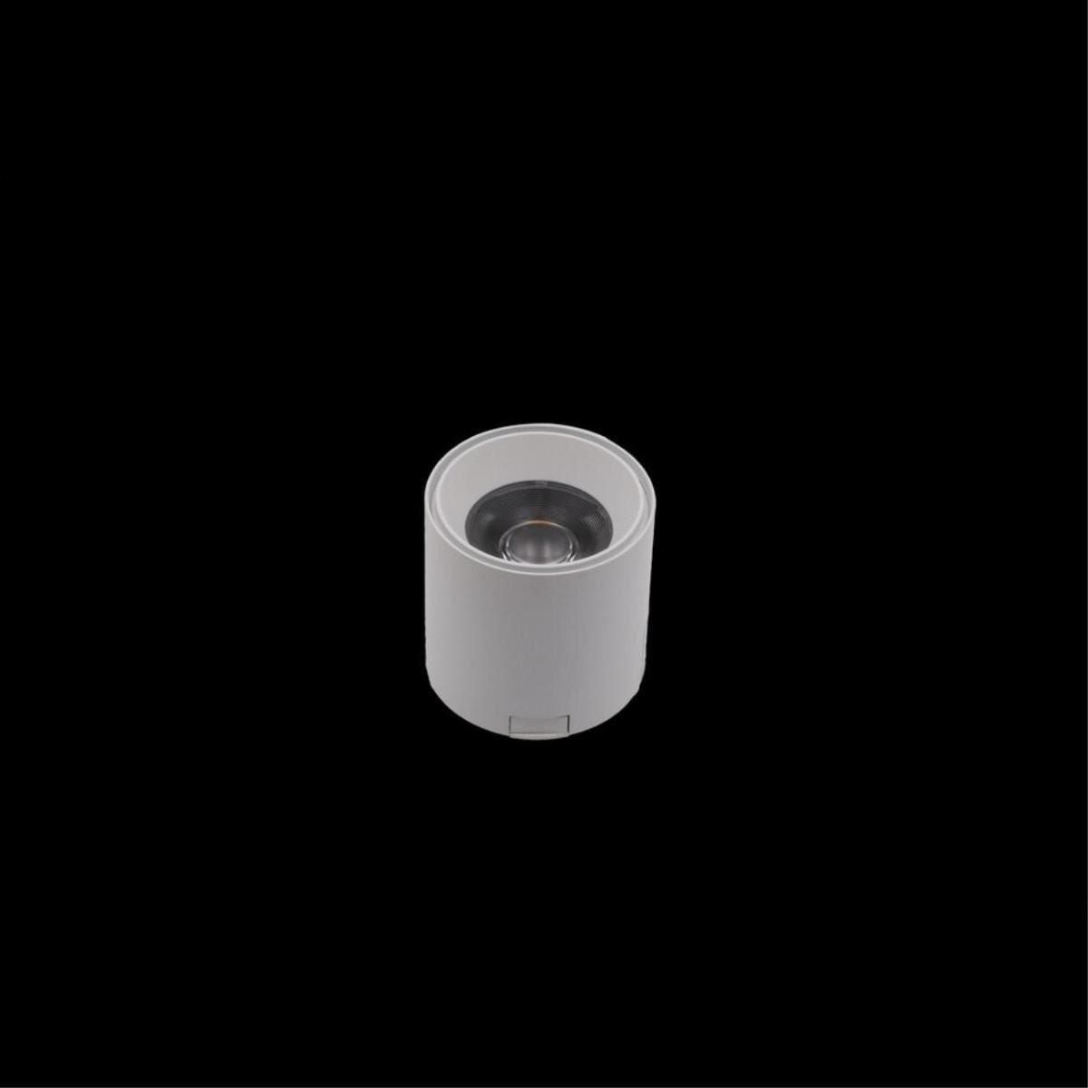 Трековый магнитный светильник Aployt Magnetic track 48 APL.0109.10.06