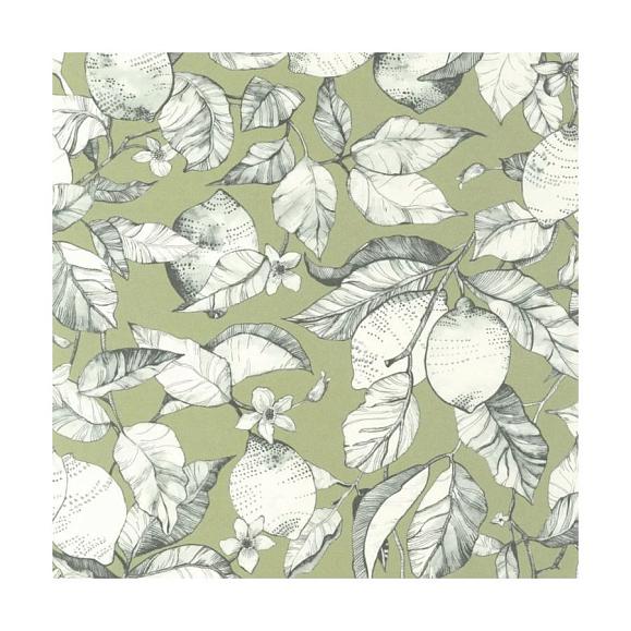 Обои Casadeco 200277313 Lemon Tree Argile verte
