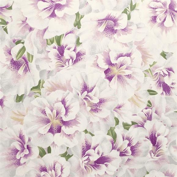 Обои John Derian PJD6004/02 Variegated Azalea Violet