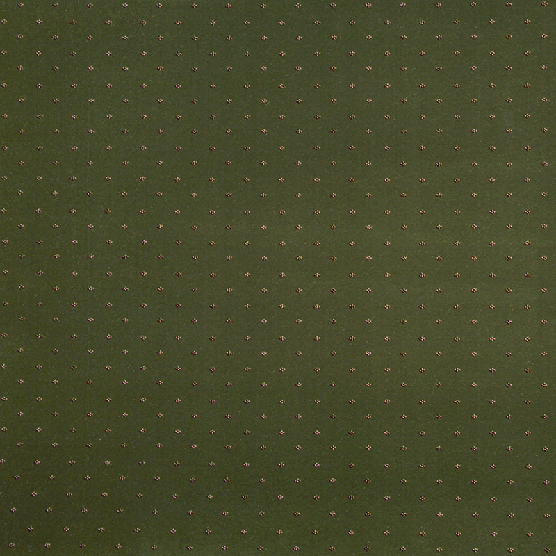 Ковровые покрытия  Stainsafe Super Wiltax 1881  40