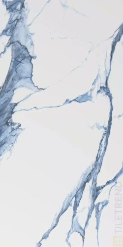 White Marbles Calacatta Blue Polished 60x120