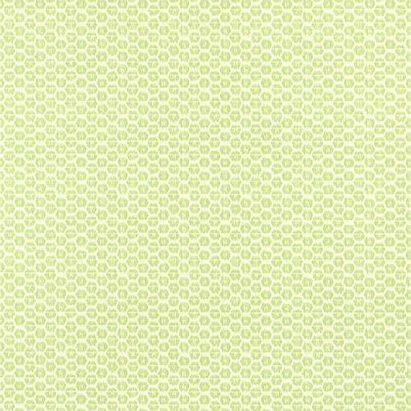 Обои Thibaut T13365 Akari Spring