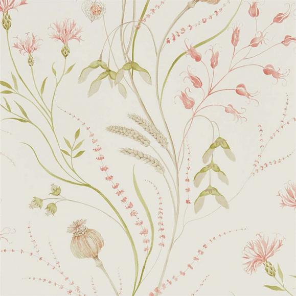 Обои Sanderson 216495 Summer Harvest Claret/Olive
