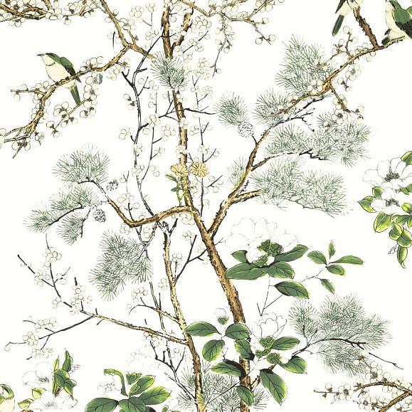 Обои Thibaut T13621 Katsura Green and White