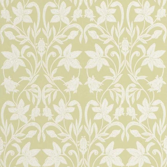 Обои Casadeco 201237245 Primrose Pistache