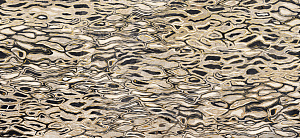 The Room GHEPARD6 260LP 120x260