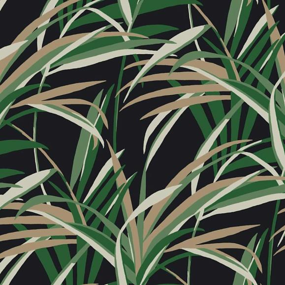 Обои York TC2606 Tropical Paradise Greens/Black