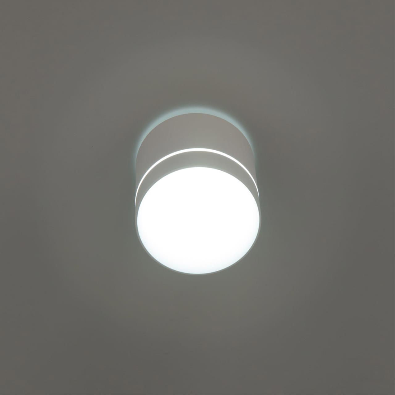 Накладной светильник Citilux Борн CL745020N