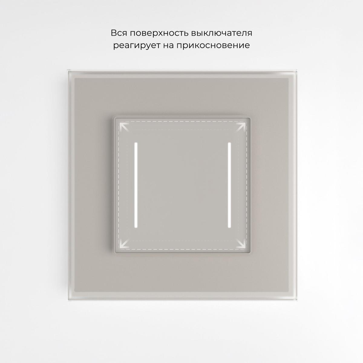 Выключатель сенсорный двухклавишный с подсветкой Werkel W4522014 4690389213922 a069763