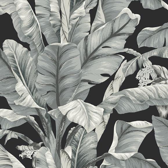 Обои York BW3971 Banana Leaf Black/Neutral