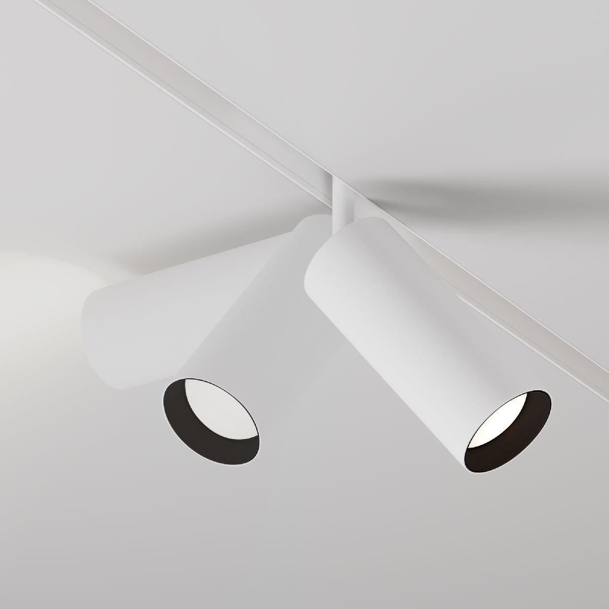 Трековый магнитный светильник Maytoni Focus LED TR032-2-20W4K-S-W
