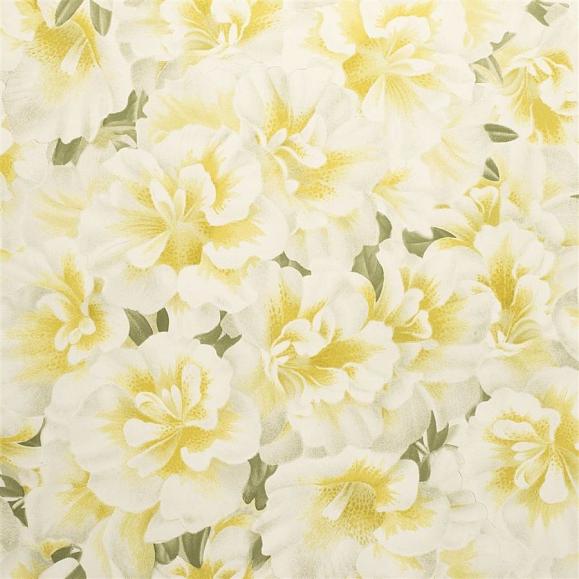 Обои John Derian PJD6004/03 Variegated Azalea Mimosa