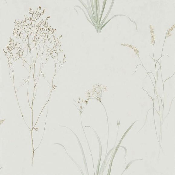 Обои Sanderson 216488 Farne Grasses Willow/Pebble