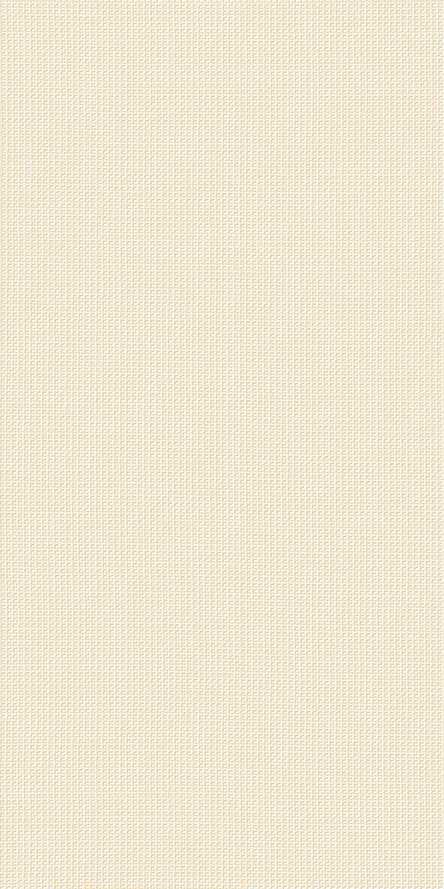 ROOM BEIGE TEXTURE 40X80