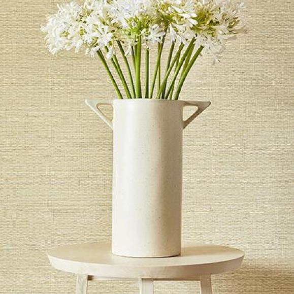 Обои Thibaut TWW10962 Prairie Weave Straw